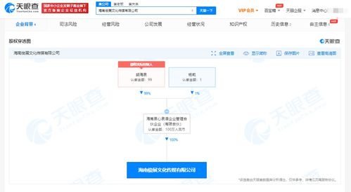 胡海泉在海南成立傳媒新公司