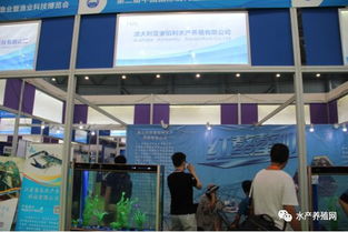 近500家水產產業鏈企業齊聚合肥漁博會，現場亮點紛呈，行業盛事引領產業新方向